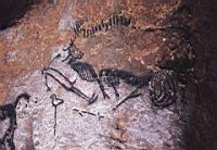 France, Dordogne, Montignac, Grotte de Lascaux, Scene du puit (Magdalenien)